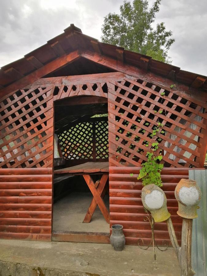 У Катерини Villa Dvozhets Exteriör bild